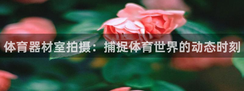 江苏星奥娱乐有限公司报名：体育器材室拍摄：捕捉体育世
