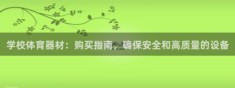 星欧娱乐挂机教程：学校体育器材：购买指南，确保安全和