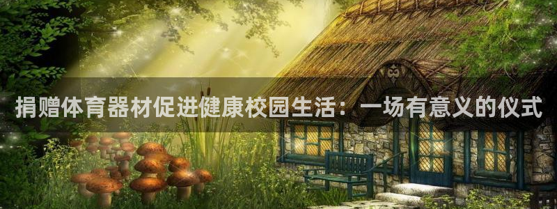 星欧娱乐彩票软件下载：捐赠体育器材促进健康校园生活：