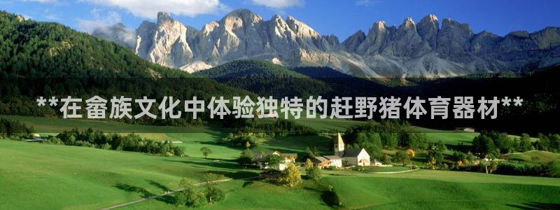 星奥娱乐集团：**在畲族文化中体验独特的赶野猪体育器