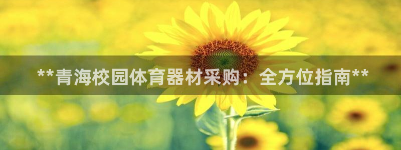 星澳娱乐公司简介： **青海校园体育器材采购：全方位