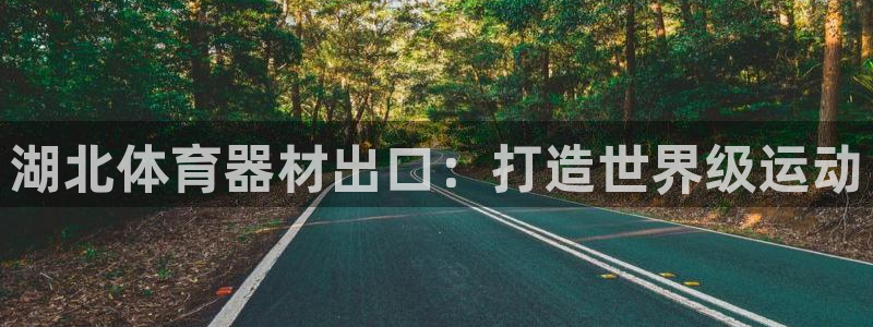 星欧娱乐挂机教程下载：湖北体育器材出口：打造世界级运