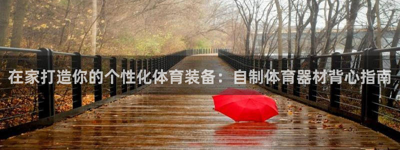 星欧娱乐扣款流程详解图高清：在家打造你的个性化体育装