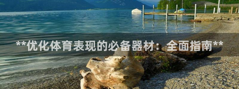 星欧娱乐公司创始人背景故事介绍：**优化体育表现的必