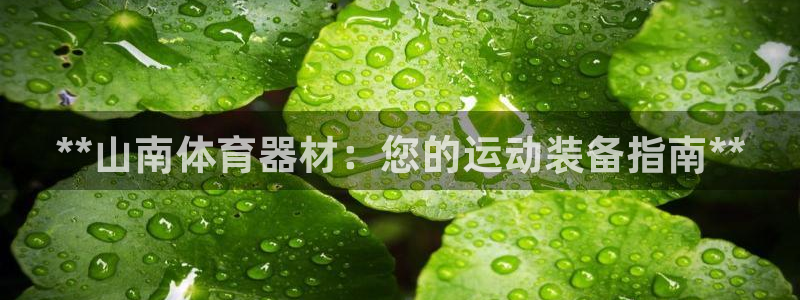 星欧娱乐最建议买的三个产品是什么呢：**山南体育器材