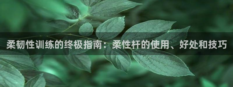 星欧娱乐官网首页：柔韧性训练的终极指南：柔性杆的使用