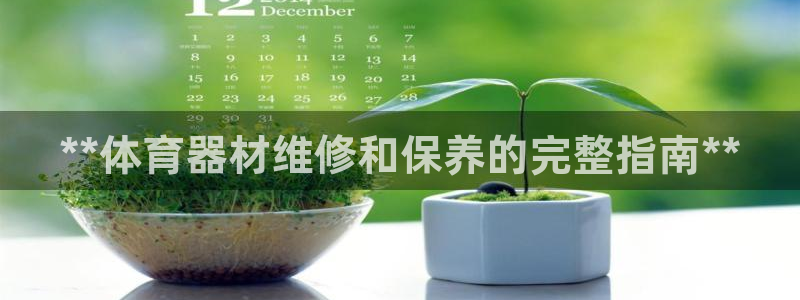 星欧娱乐平台：**体育器材维修和保养的完整指南**