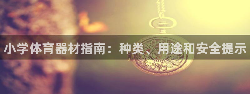 星欧娱乐是正规平台吗可靠吗：小学体育器材指南：种类、