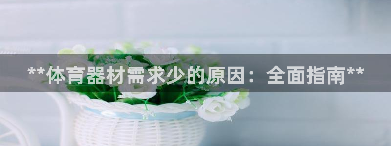 星欧娱乐扣款流程详解图片大全：**体育器材需求少的原