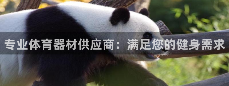 星欧娱乐的官方版本更新内容怎么删除：专业体育器材供应
