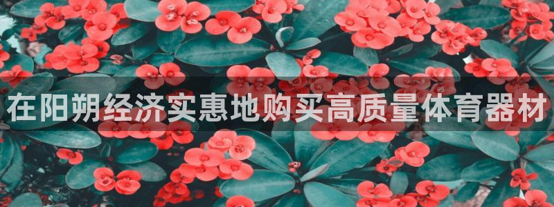 星欧娱乐测速怎么样：在阳朔经济实惠地购买高质量体育器