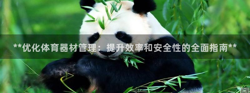 星奥娱乐艺人：**优化体育器材管理：提升效率和安全性