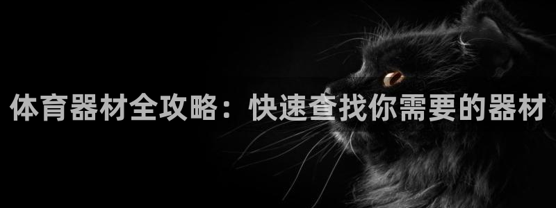 星奥娱乐集团是国企吗：体育器材全攻略：快速查找你需要
