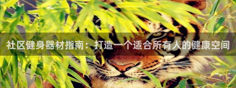 星欧娱乐联售后服务评价：社区健身器材指南：打造一个适
