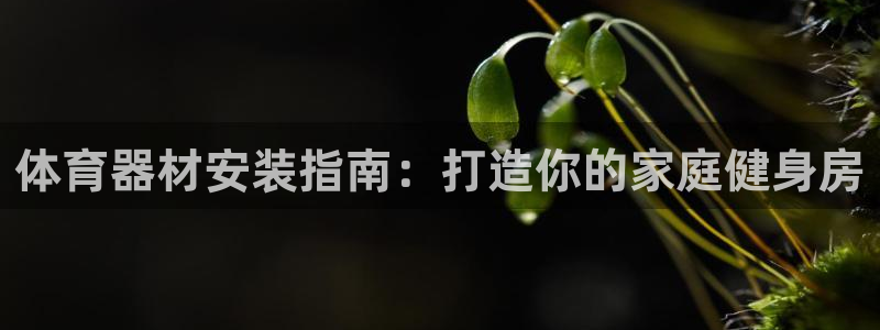 星欧娱乐是正规平台吗可靠吗：体育器材安装指南：打造你