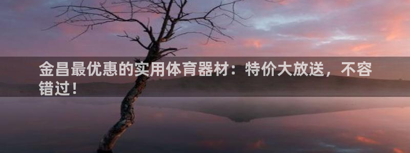 星欧娱乐平台怎么样啊可靠吗：金昌最优惠的实用体育器材