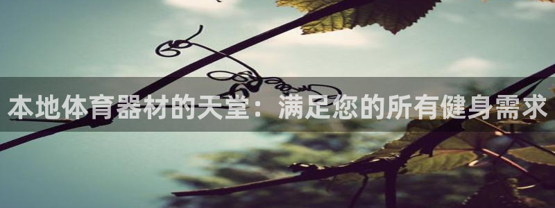 星欧娱乐的官方版本更新内容是什么：本地体育器材的天堂
