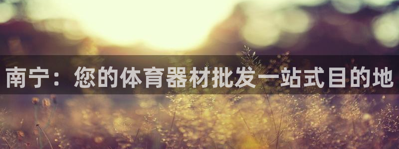 星欧娱乐app最新版本更新内容下载：南宁：您的体育器