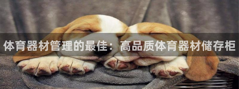 星欧娱乐游戏中心官网登录：体育器材管理的最佳：高品质