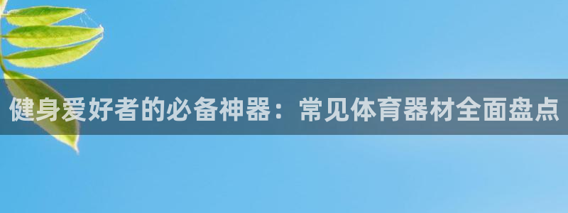 星欧娱乐24小时客服电话：健身爱好者的必备神器：常见