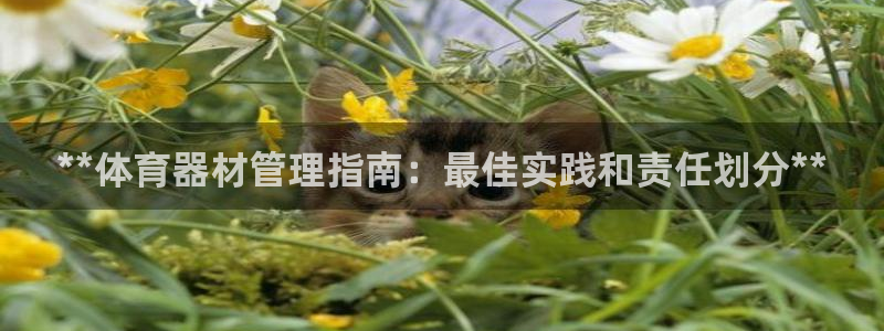 星欧娱乐平台怎么样知乎赚钱吗：**体育器材管理指南：