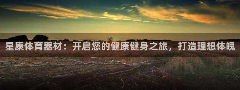 星欧娱乐载711.112使用教程详解：星康体育器材：