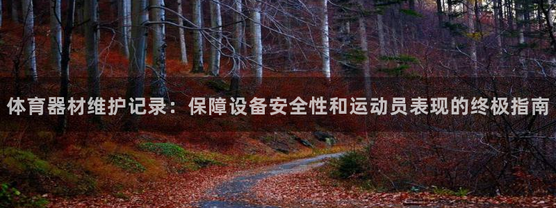 星娱乐文化传媒：体育器材维护记录：保障设备安全性和运