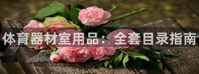 星奥娱乐旗下艺人：体育器材室用品：全套目录指南