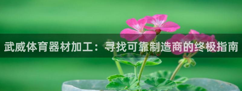 星欧娱乐下载最新版本更新内容：武威体育器材加工：寻找