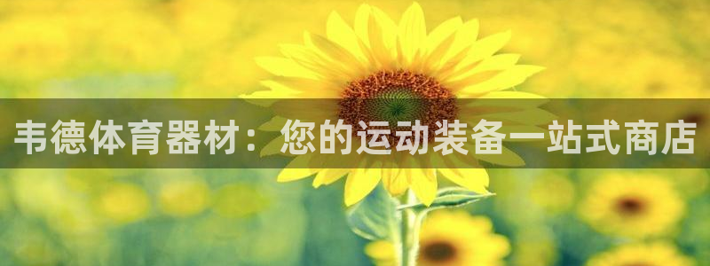 永韬星娱乐：韦德体育器材：您的运动装备一站式商店