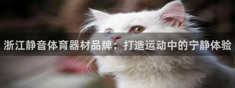 星欧娱乐扣费后解决方法：浙江静音体育器材品牌：打造运