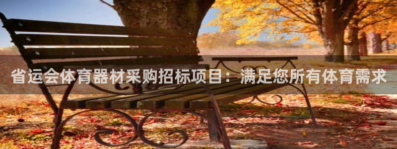 星欧娱乐公司创始人背景故事简介