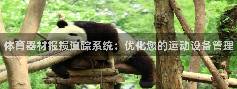 星欧娱乐扣款时间查询方法是什么样的：体育器材报损追踪