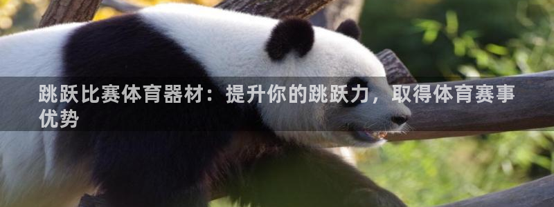 星欧娱乐是正规平台吗知乎推荐：跳跃比赛体育器材：提升