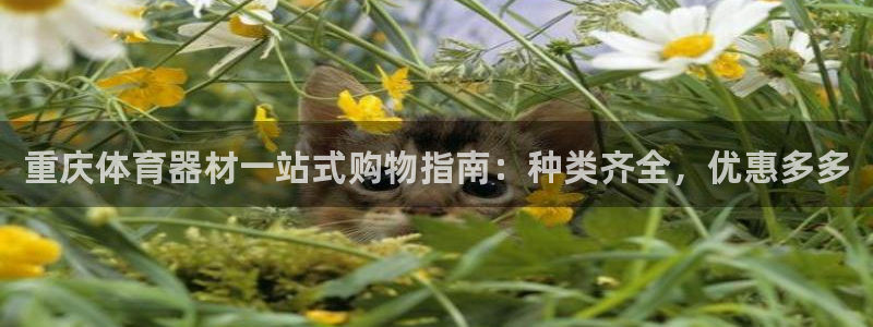 星奥盛典娱乐会所