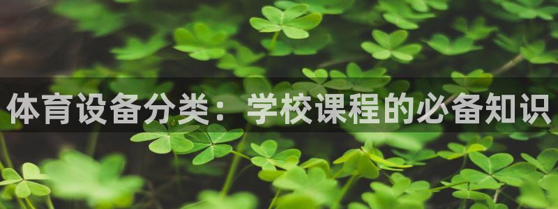 星娱乐online