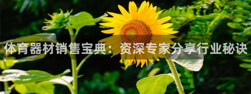 星奥娱乐待遇怎么样：体育器材销售宝典：资深专家分享行