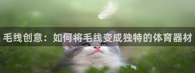 星欧娱乐联游戏评测：毛线创意：如何将毛线变成独特的体