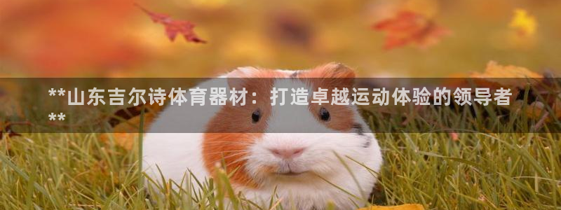 星欧娱乐伐官网注册：**山东吉尔诗体育器材：打造卓越