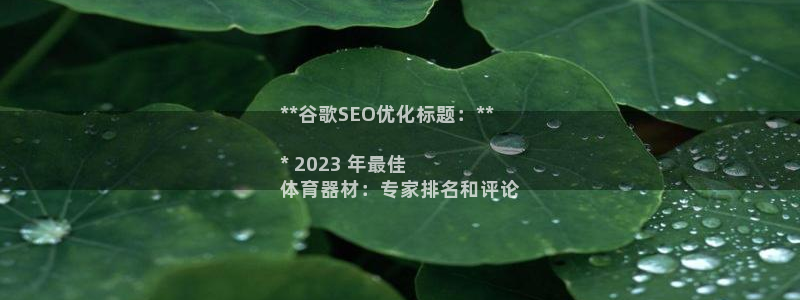 星欧娱乐总代.直开.中国：**谷歌SEO优化标题：*