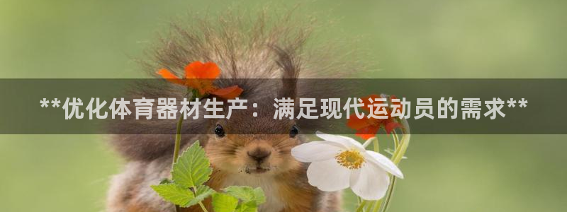 星欧娱乐联客服联系方式：**优化体育器材生产：满足现