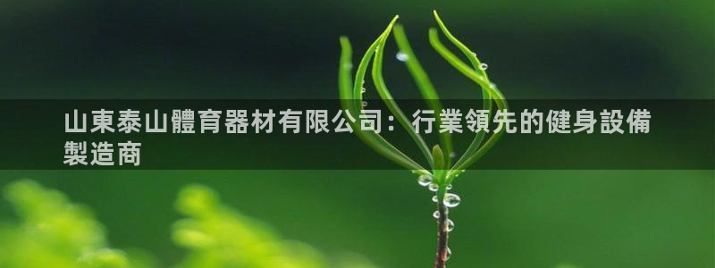 星欧娱乐官网下载安装：山東泰山體育器材有限公司：行業