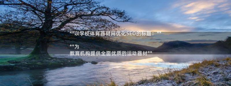 星欧娱乐扣款流程详解图片：**以学校体育器材网优化S
