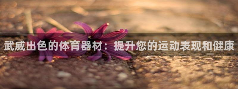 星欧娱乐联和哪个品牌合作：武威出色的体育器材：提升您