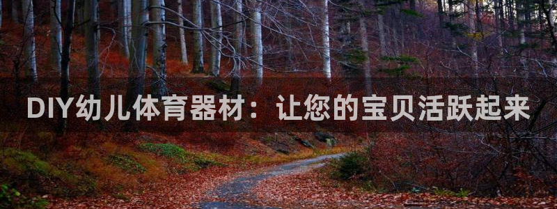 星欧娱乐平台都7O777：DIY幼儿体育器材：让您的