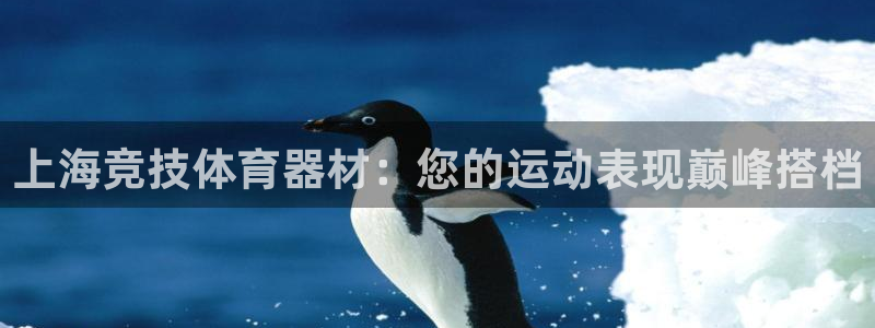 星欧娱乐联客服联系方式：上海竞技体育器材：您的运动表