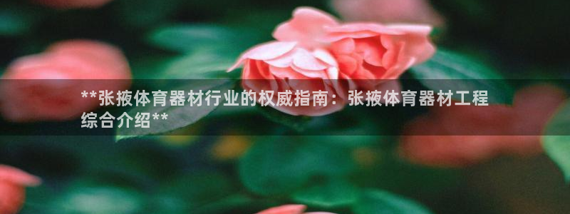 星欧娱乐银行卡怎么登录：**张掖体育器材行业的权威指