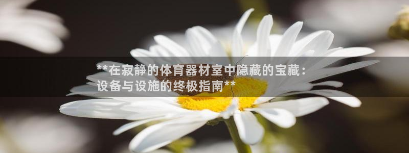 星欧娱乐是正规平台吗：**在寂静的体育器材室中隐藏的