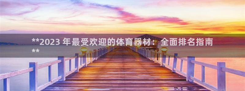 星奥娱乐待遇怎么样：**2023 年最受欢迎的体育器