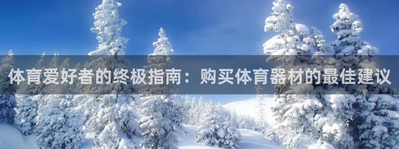 星欧娱乐扣款流程详解图
